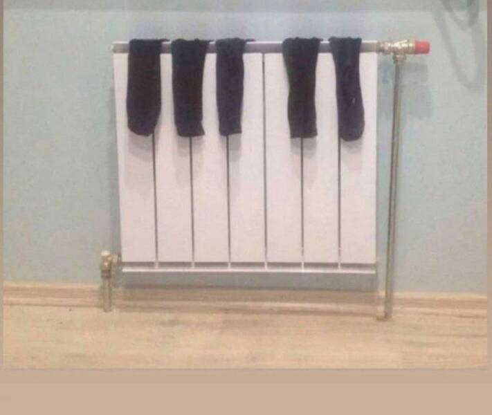 Morning Picdump Morning Picdump