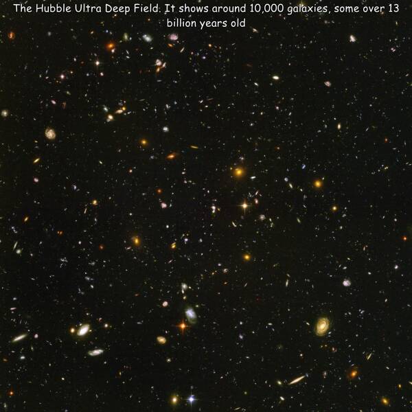 Morning Picdump Morning Picdump