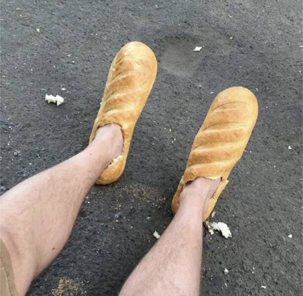 Morning Picdump Morning Picdump