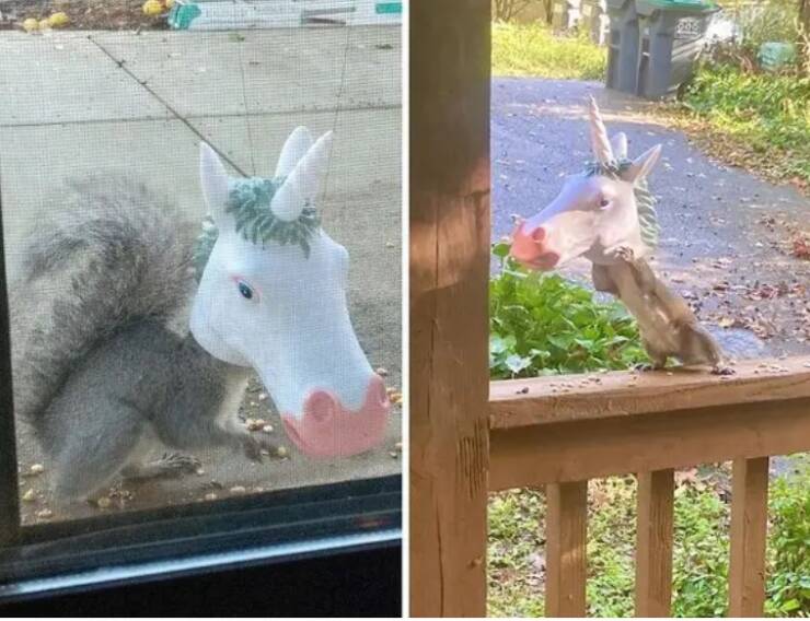 Terrifying Images That Will Haunt Your Dreams