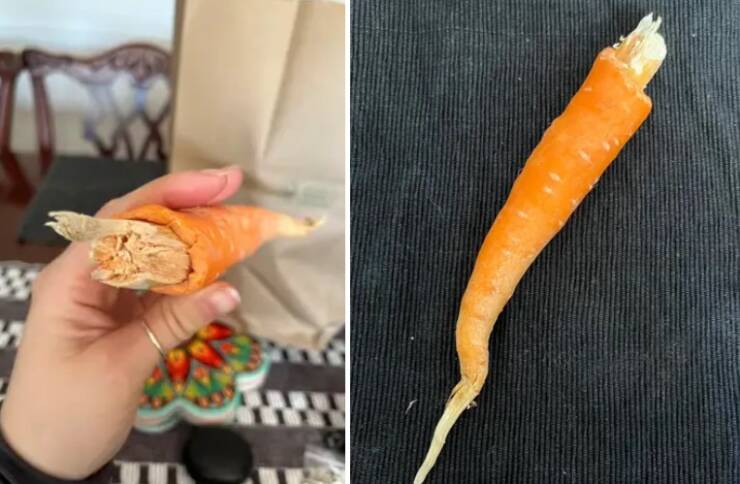 Terrifying Images That Will Haunt Your Dreams