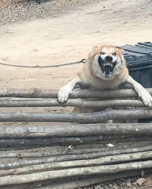 Terrifying Images That Will Haunt Your Dreams