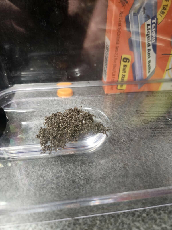 When Bad Days Strike