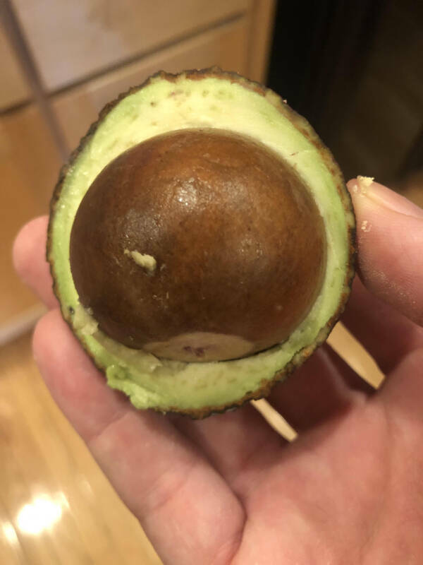 When Bad Days Strike