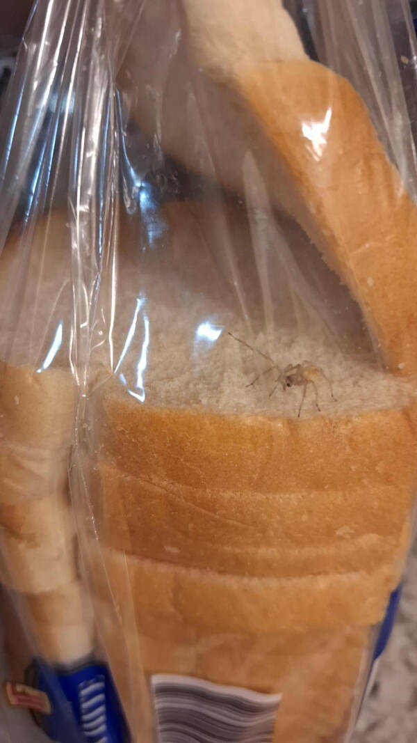 When Bad Days Strike