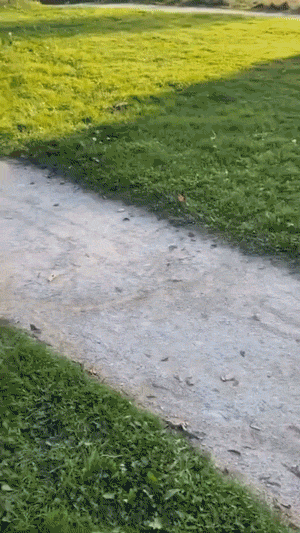 Collection Of Epic Fails In GIF Form
