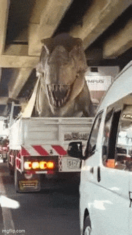 Daily Gifdump Daily Gifdump