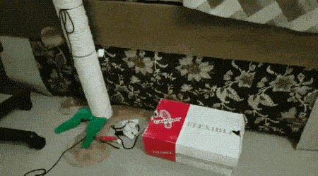 Daily Gifdump Daily Gifdump