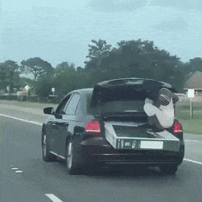 Daily Gifdump Daily Gifdump