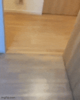 Daily Gifdump Daily Gifdump