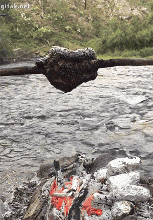 Daily Gifdump Daily Gifdump