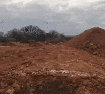 Daily Gifdump Daily Gifdump