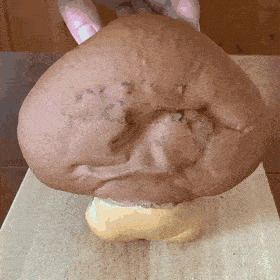 Daily Gifdump Daily Gifdump