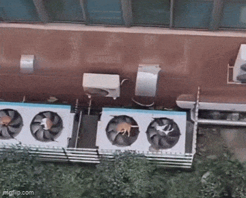 Daily Gifdump Daily Gifdump