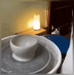 Daily Gifdump Daily Gifdump