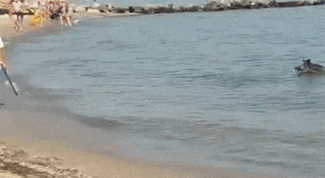 Daily Gifdump Daily Gifdump