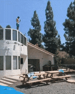 Daily Gifdump Daily Gifdump