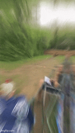 Daily Gifdump Daily Gifdump