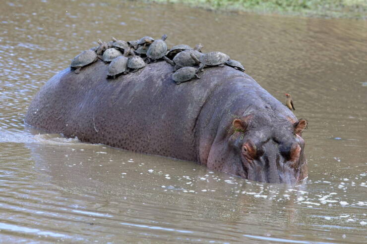 Morning Picdump Morning Picdump