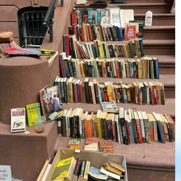 Unbelievable Things People Found On The Streets Of New York