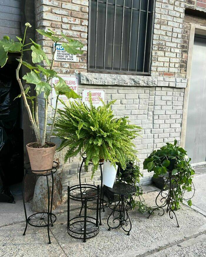 Unbelievable Things People Found On The Streets Of New York