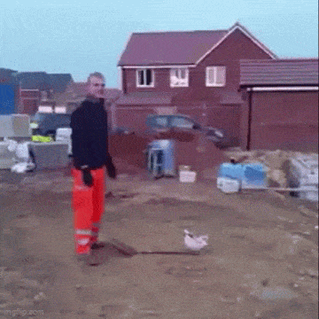 Daily Gifdump Daily Gifdump