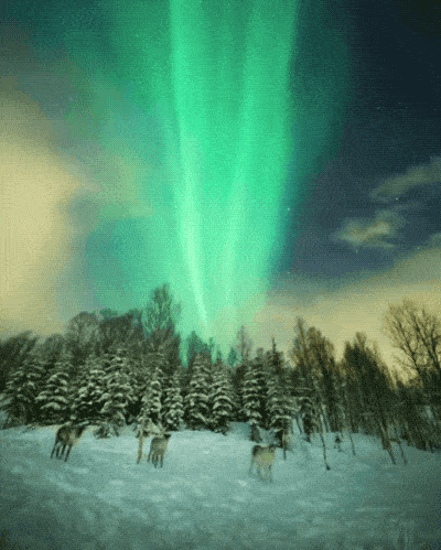 Daily Gifdump Daily Gifdump