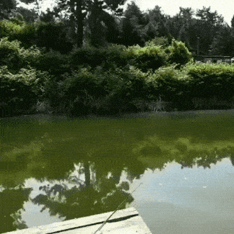 Daily Gifdump Daily Gifdump