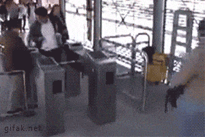 Daily Gifdump Daily Gifdump