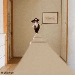 Daily Gifdump Daily Gifdump