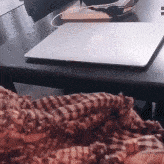 Daily Gifdump Daily Gifdump