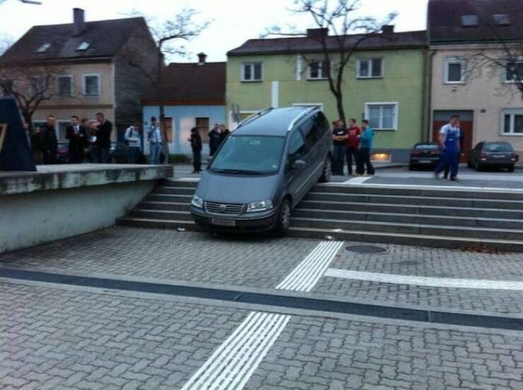 Daily Picdump Daily Picdump