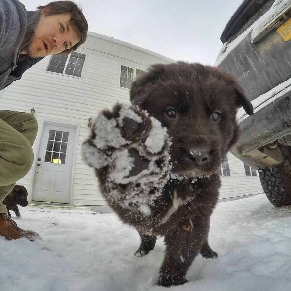 Daily Picdump Daily Picdump