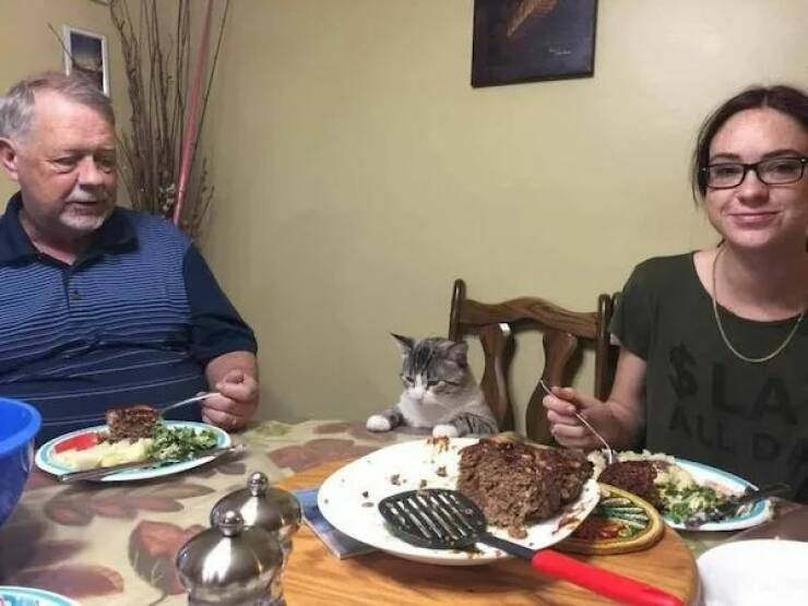 Daily Picdump Daily Picdump