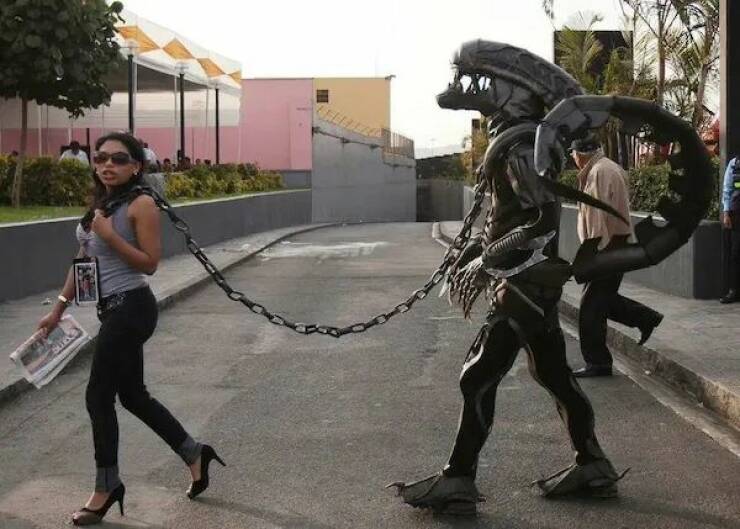 Daily Picdump Daily Picdump