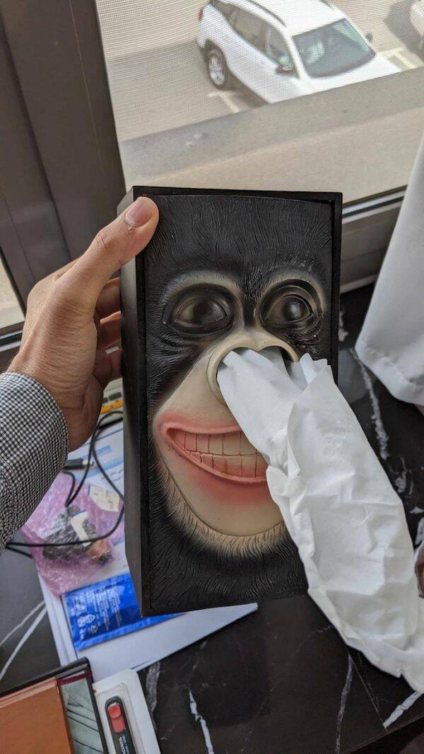 Daily Picdump Daily Picdump