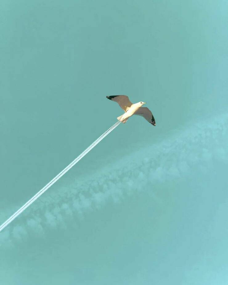 Daily Picdump Daily Picdump