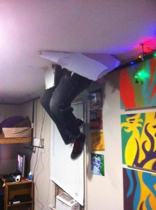 Daily Picdump Daily Picdump