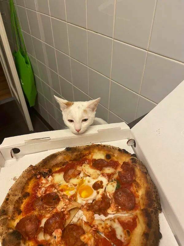 Daily Picdump Daily Picdump