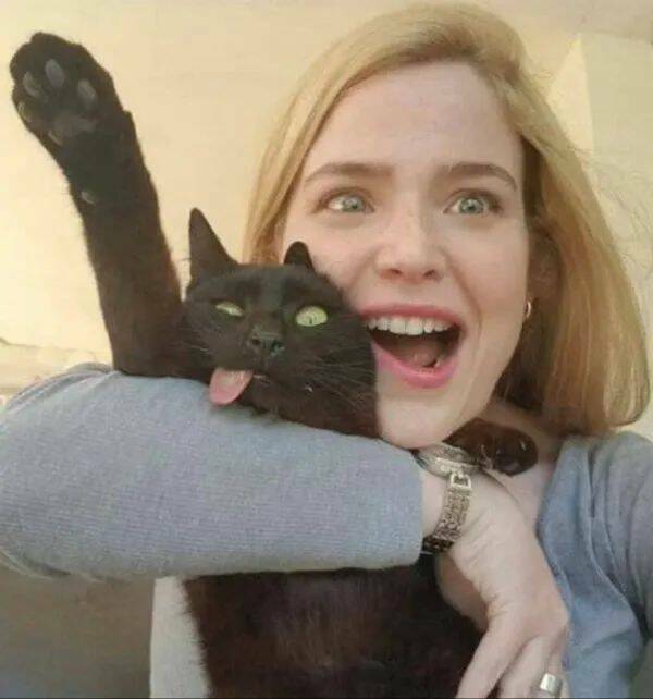 Purrfectly Hilarious Cat Memes And Photos