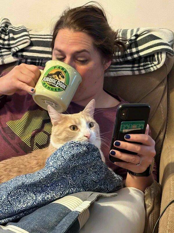 Purrfectly Hilarious Cat Memes And Photos