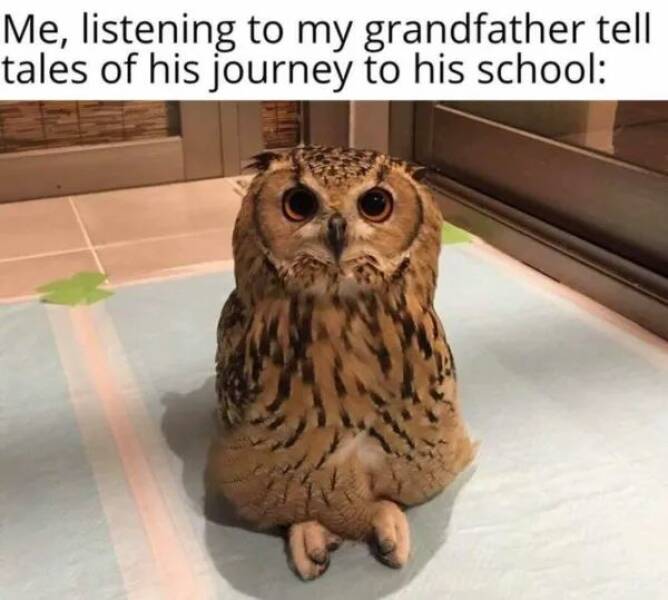 Unstoppable Waves Of Positivity