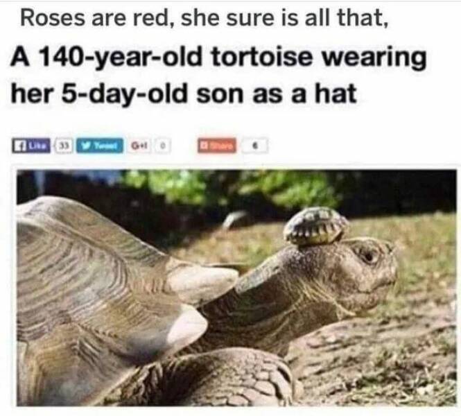 Unstoppable Waves Of Positivity