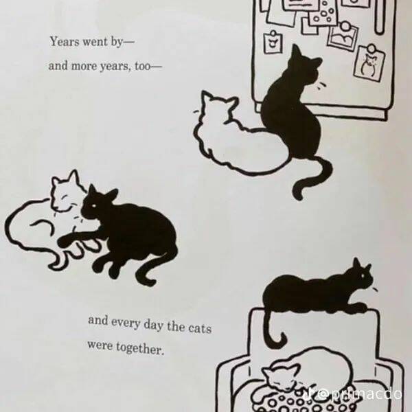 Unstoppable Waves Of Positivity