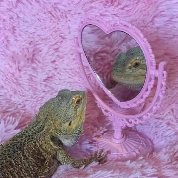 Unstoppable Waves Of Positivity