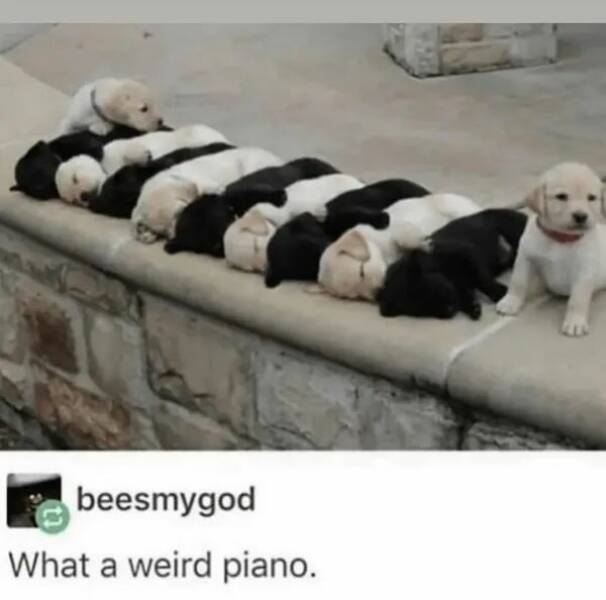 Unstoppable Waves Of Positivity