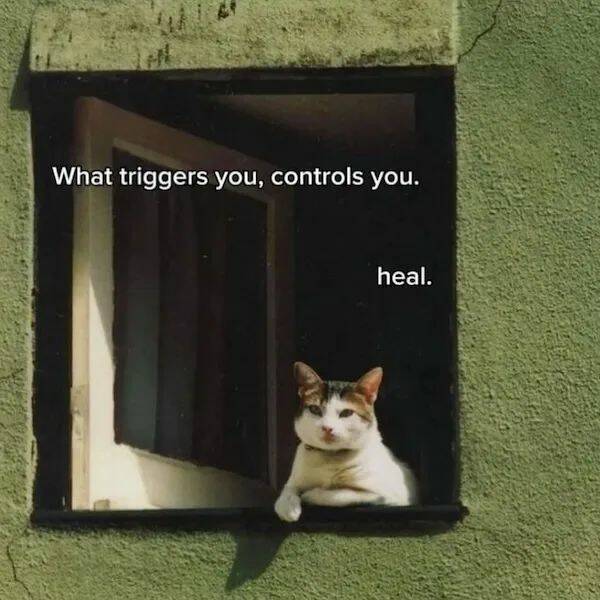 Unstoppable Waves Of Positivity