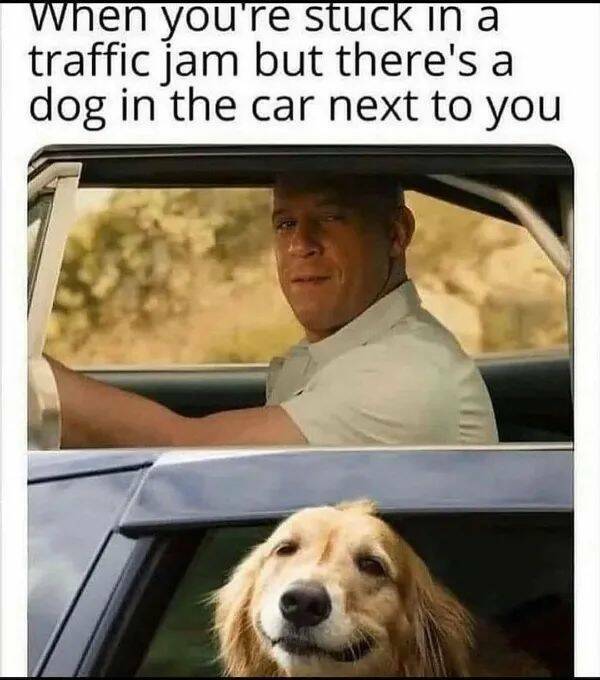 Unstoppable Waves Of Positivity