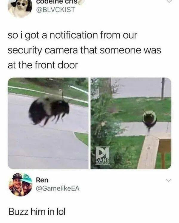 Unstoppable Waves Of Positivity