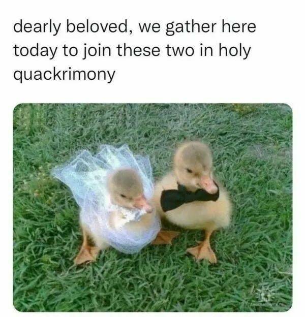 Unstoppable Waves Of Positivity